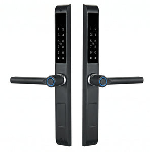 Smart Door Lock Duo