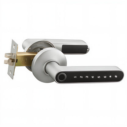 Smart_Door_Handle_-_Gray